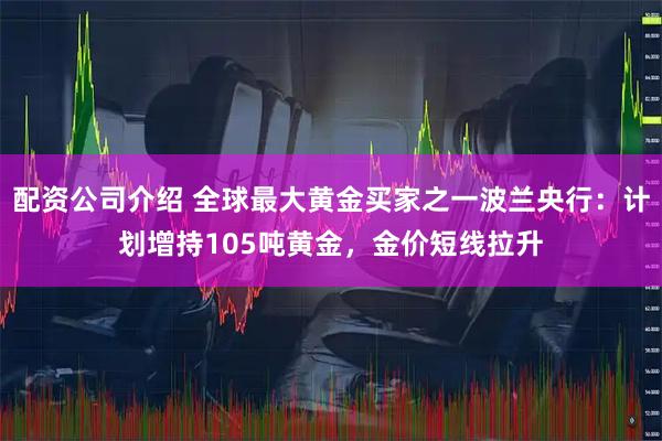 配资公司介绍 全球最大黄金买家之一波兰央行：计划增持105吨黄金，金价短线拉升